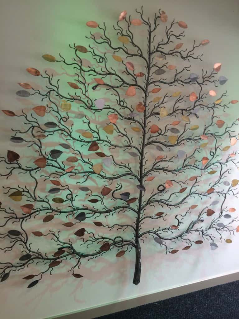 Ty Hafen Tree