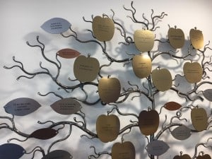 beautiful leaves for fundraising trees