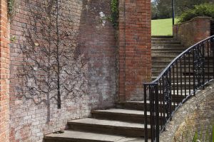 http://Large%20Rustic%20Garden%20Tree