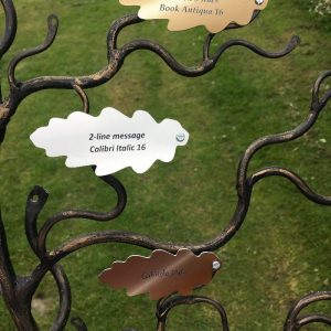 http://The%20Chelwood%20Oak%20Range