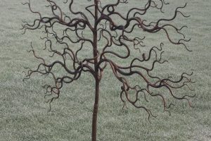 http://Free%20Standing%20Tree