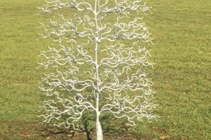 http://Free%20Standing%20Tree