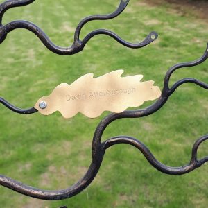 http://Ashdown%20Copper%20Oak%20Leaf