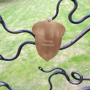 http://Acorns