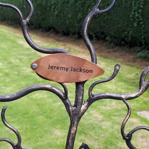 http://Ashdown%20Copper%20Birch%20Leaf