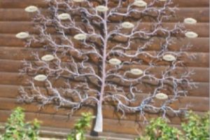 http://Large%20Rustic%20Garden%20Tree