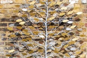 http://Medium%20Rustic%20Garden%20Tree