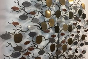 http://Medium%20Silver%20Forest%20Tree
