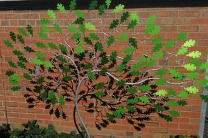 http://Windswept%20Tree