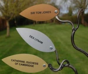 Giving Trees - to remember loved ones